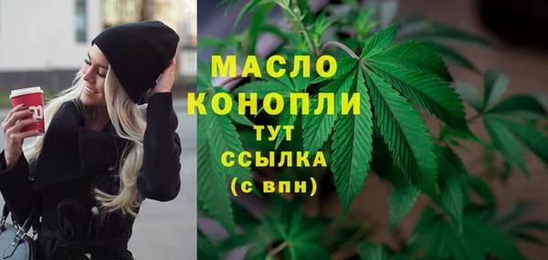 стафф Верхний Тагил