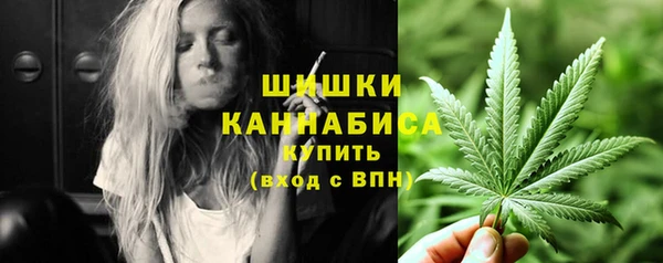 стафф Верхний Тагил