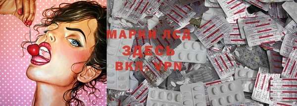 ГАЛЛЮЦИНОГЕННЫЕ ГРИБЫ Верея