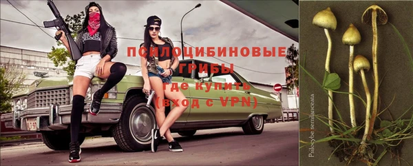 стафф Верхний Тагил