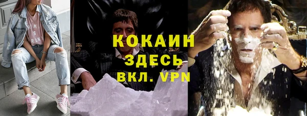ГАЛЛЮЦИНОГЕННЫЕ ГРИБЫ Верея