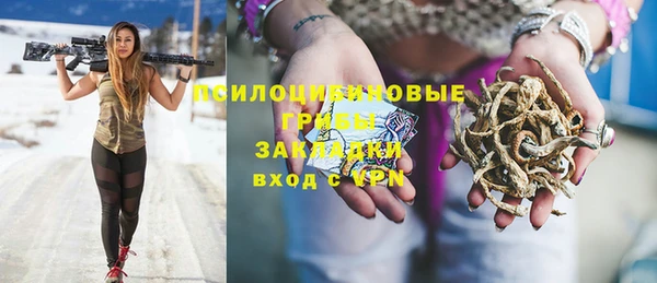 ГАЛЛЮЦИНОГЕННЫЕ ГРИБЫ Верея