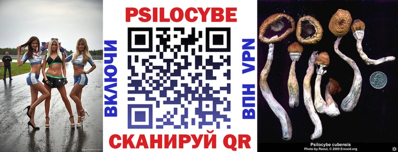 Галлюциногенные грибы ЛСД  Чухлома 
